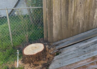 Fence Repair In Carmichael, Ca